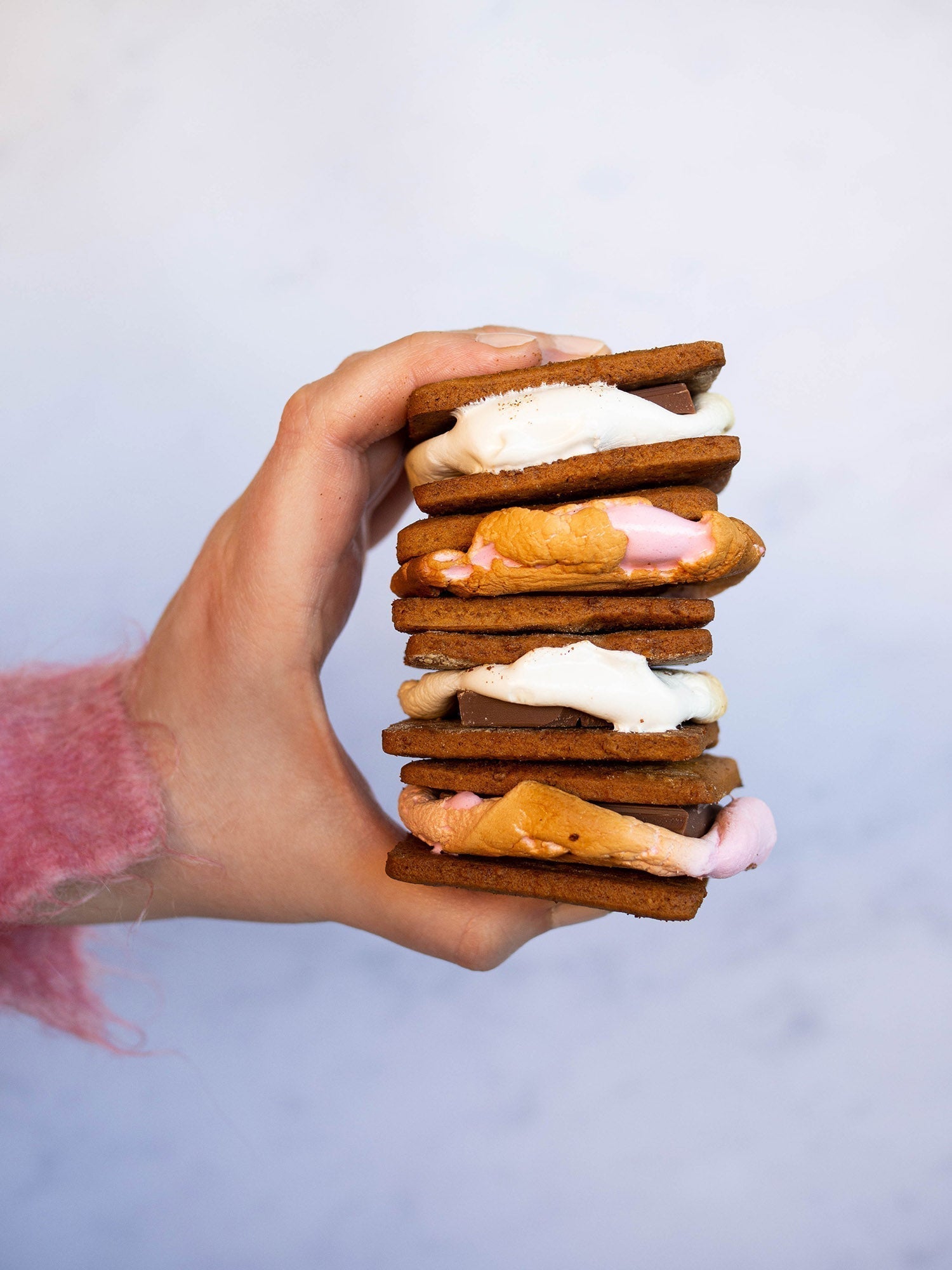 S’mores with Homemade Honey Graham Crackers